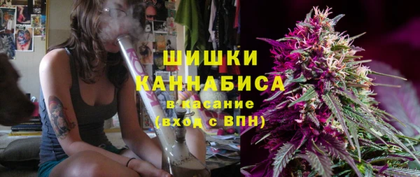 сатива Белокуриха
