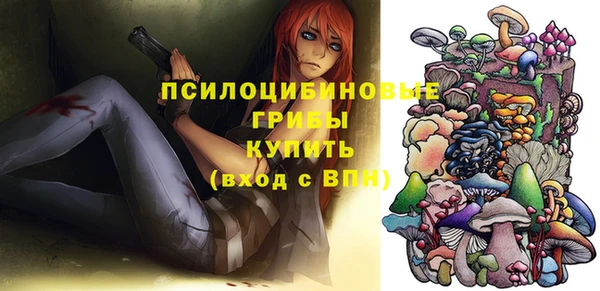 сатива Белокуриха