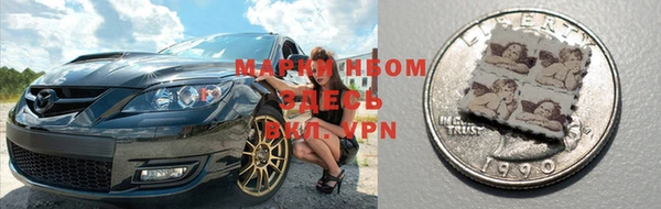 сатива Белокуриха